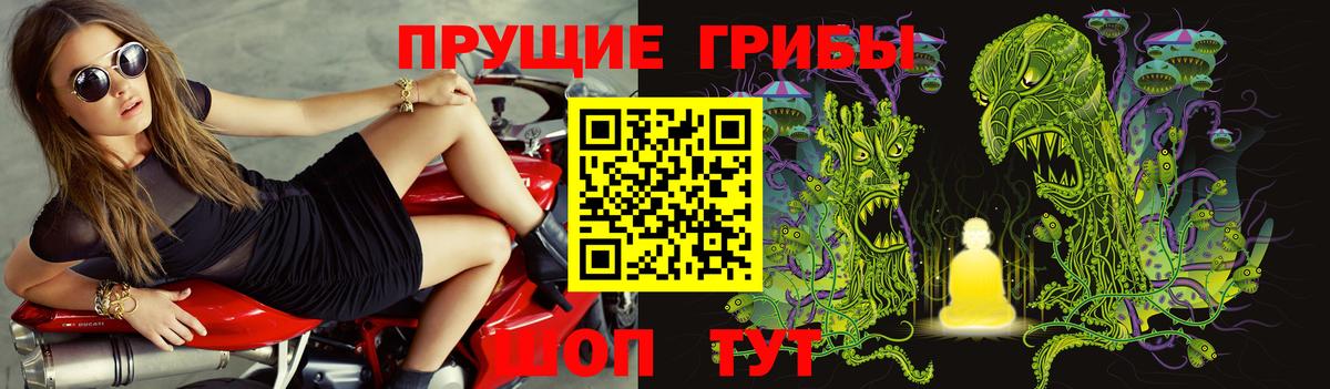 Галлюциногенные грибы Magic Shrooms Волжск